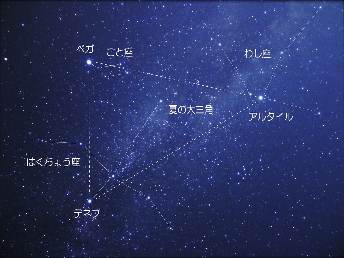 【7月9日(土)】きらめく星空観測